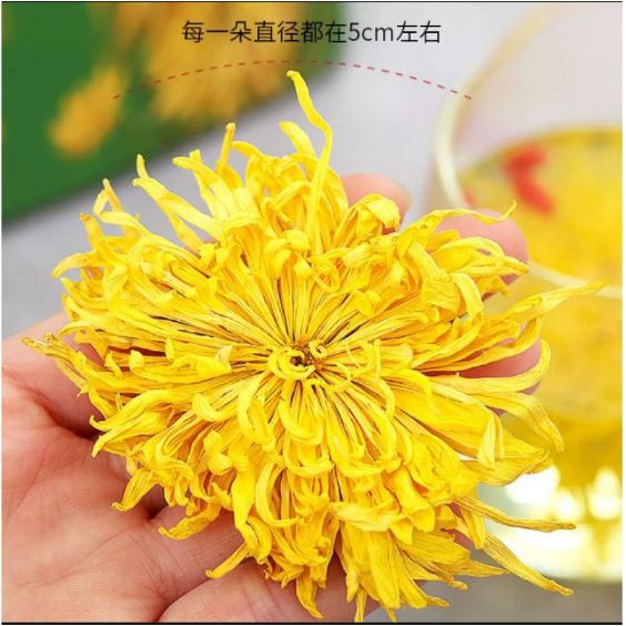 (NCS) COD TEH KRISAN Golden CHRYSANTHEMUM Flower Tea Kembang Teh Bunga Krisan Asli Dried Herbal Sachet