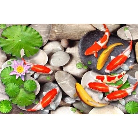 Wallpaper Dinding 3D Custom Murah Berkualitas Gambar Ikan Koi Terbaru