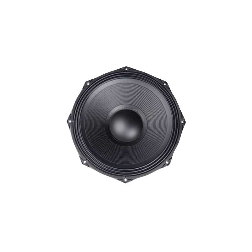Speaker 18in PA 113186 SW Fabulous ACR Series