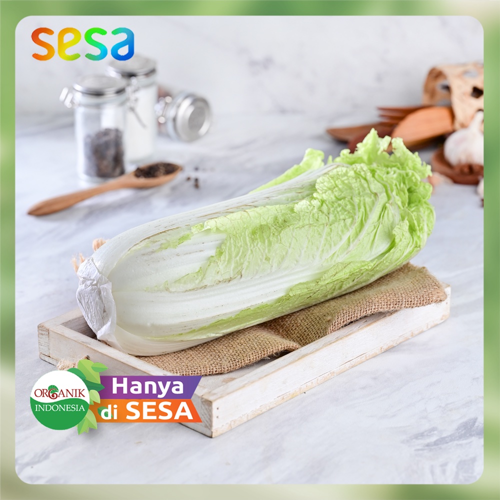 

SAWI Putih Organik 500gr - Petsai Sayuran Fresh Sehat Segar