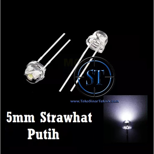 10 PCS LED Putih = Putih 5mm Camping Straw hat White Bulat LAmpu Senter CCTV Dekorasi Terang