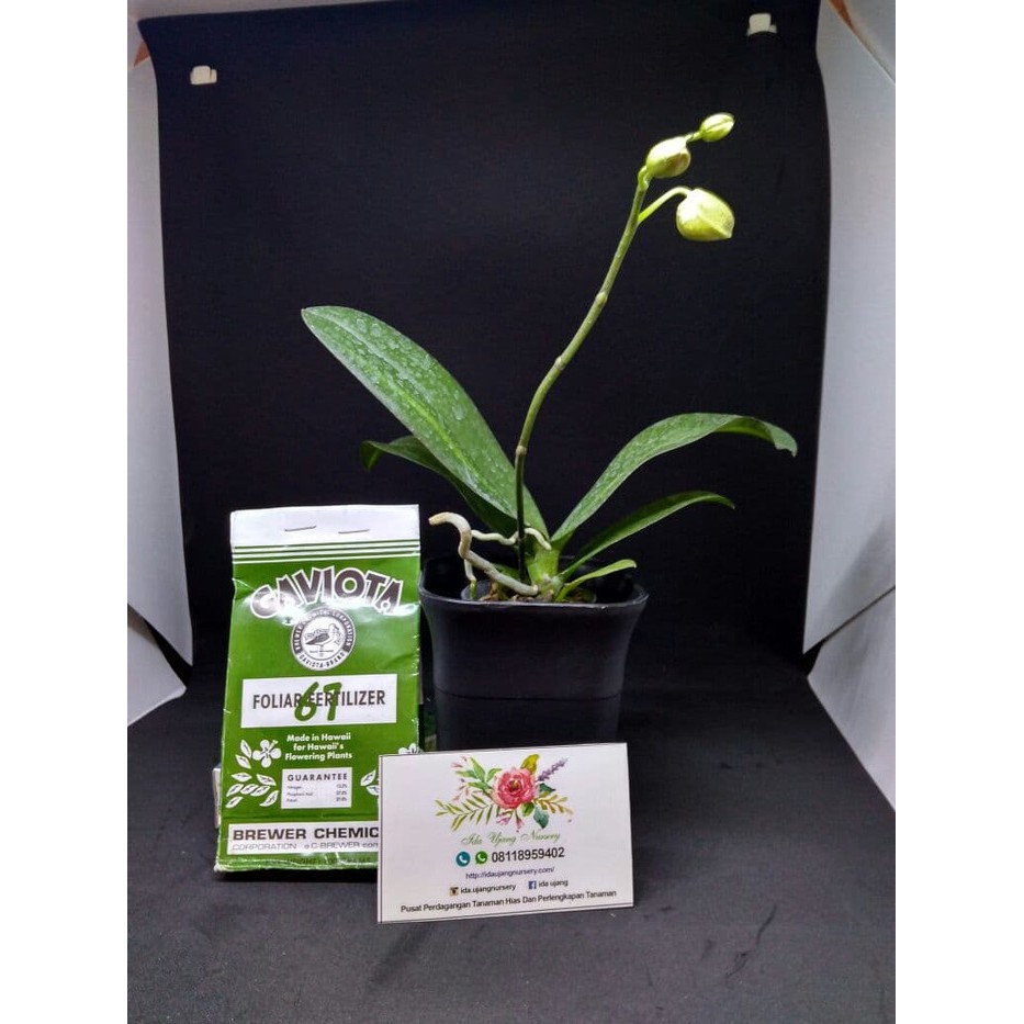 Pupuk pembungaan GAVIOTA 67