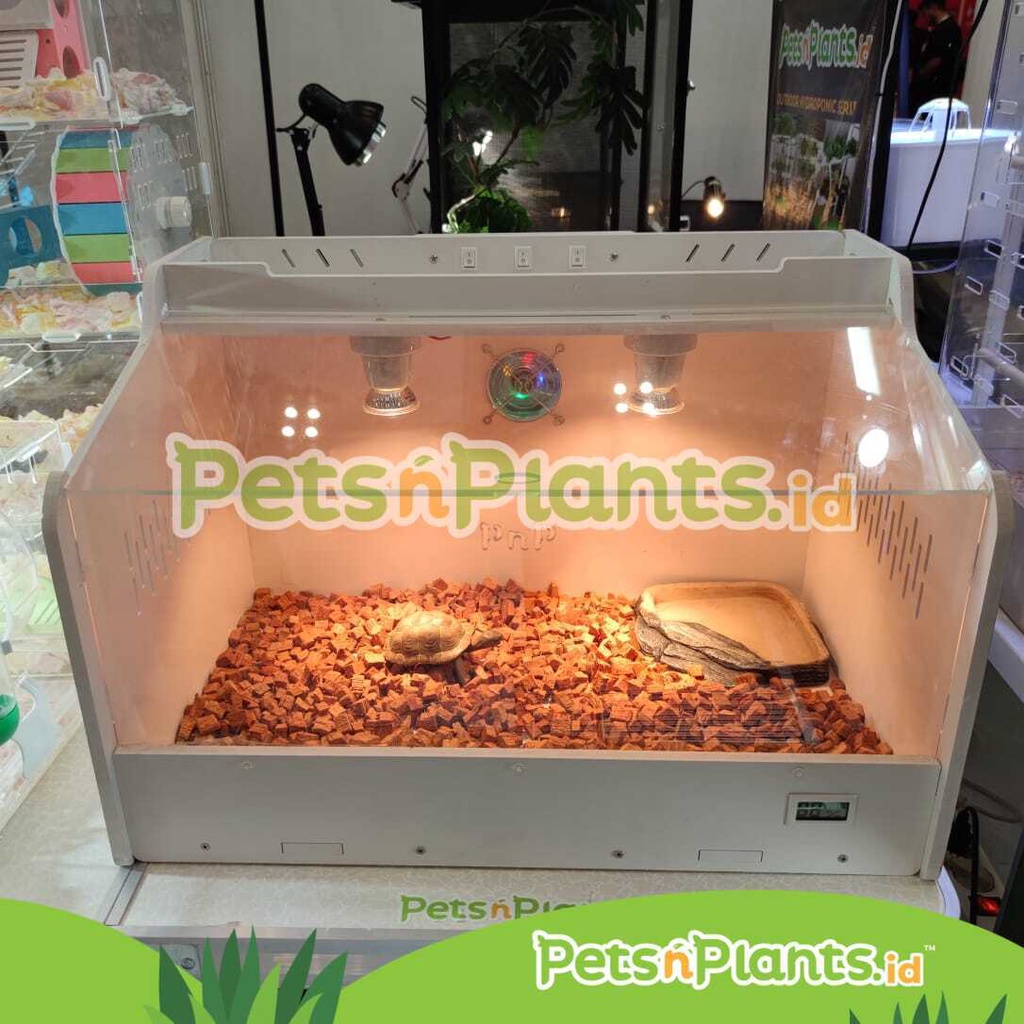 PnP Kandang Reptil Kayu Akrilik 60x40x40 Sulcata Bearded Dragon Gecko