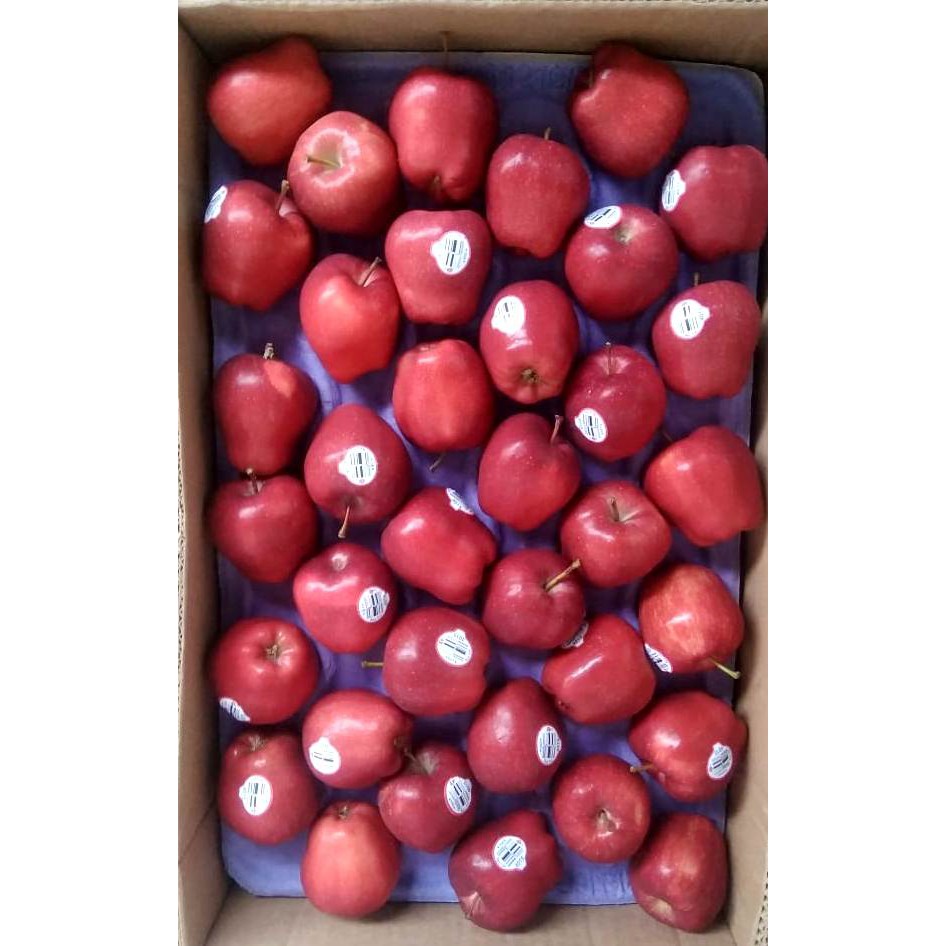 

10 BUAH APEL LENGKENG USA FRESH IMPORT