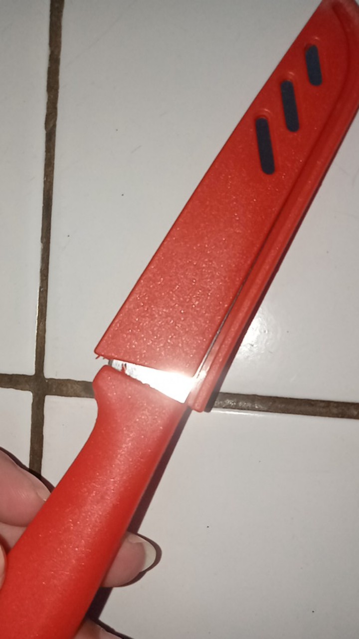 Pisau Kecil Dapur Dengan Pelindung Yzf62