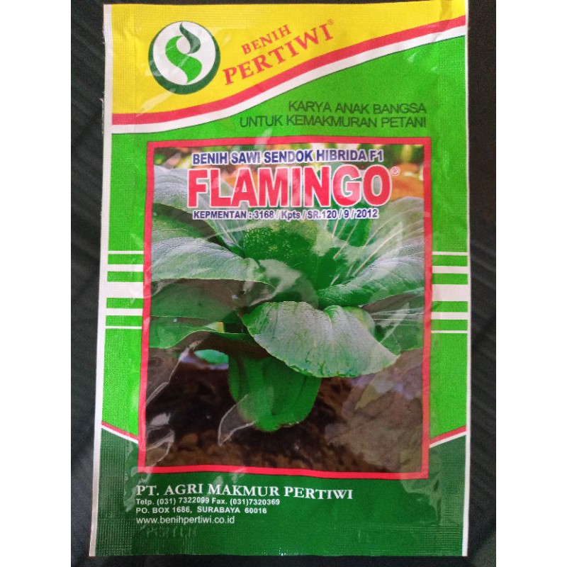 Benih Sawi Sendok Flamingo 10 gr