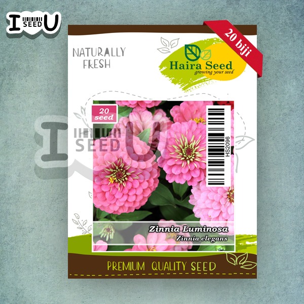 Haira Seed Bibit-Biji Bunga Zinnia Luminosa
