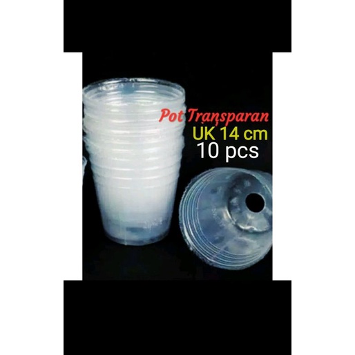 pot transparan uk 14 cm 4,5 inc pot anggrek pot plastik pot fleksibel