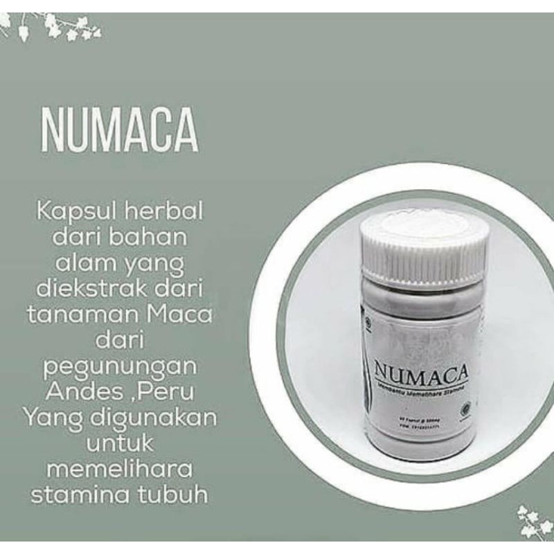 NUMACA