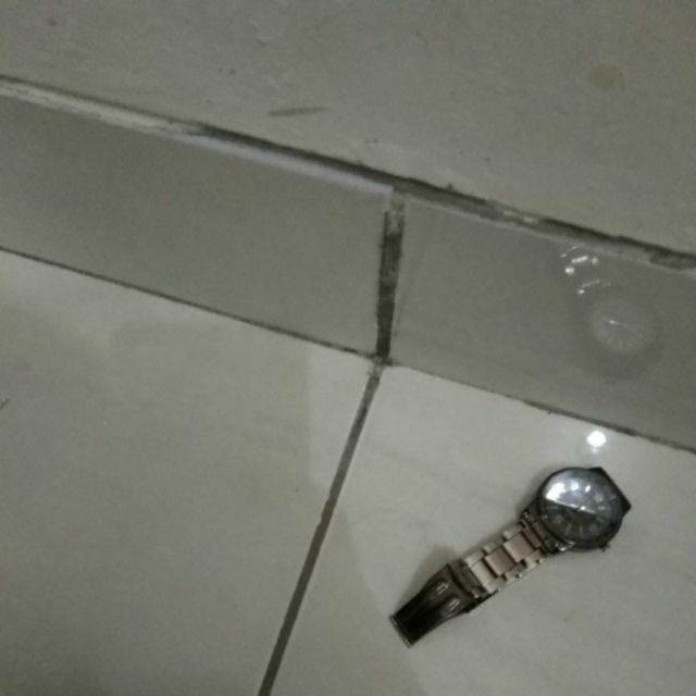 Lem Tikus Cap Gajah 100 Ml Jebakan Tikus