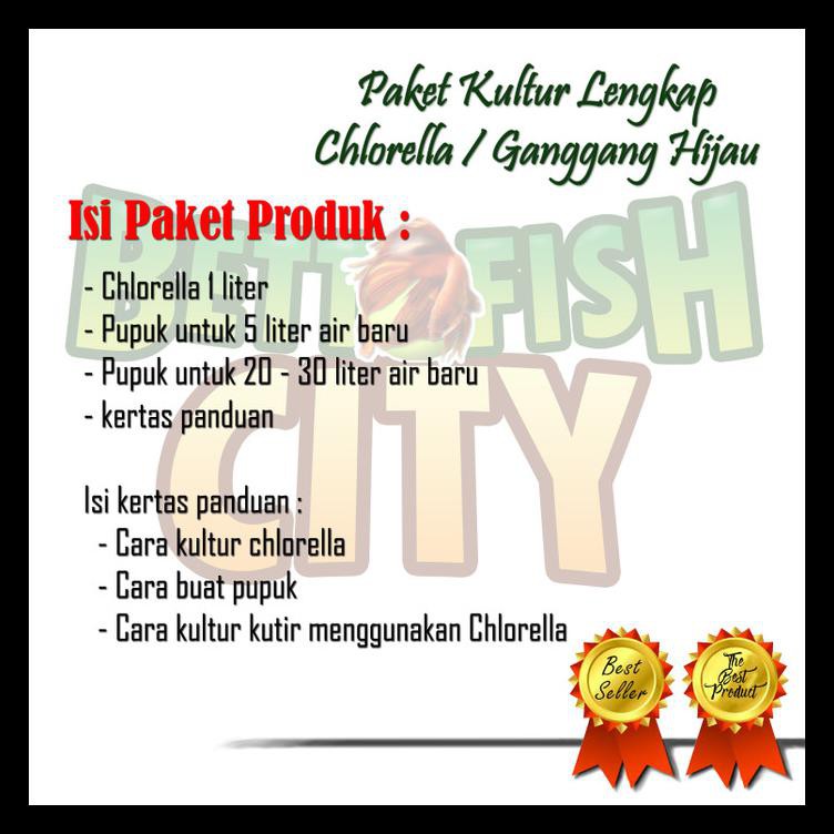 CHLORELLA BIBIT KULTUR PAKAN KUTU AIR