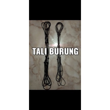 TALI BURUNG KECIL