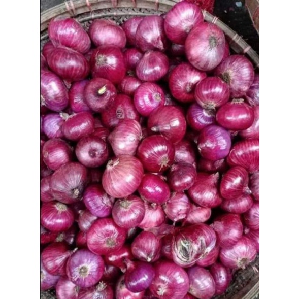 bawang merah india 1kg / bawang merah impor / bawang merah peking