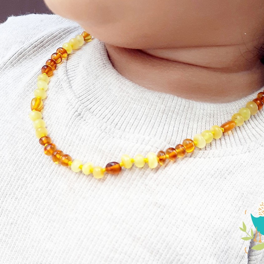 CJN26 KALUNG BALTIC AMBER SIZE JUNIOR BY CARLIS BABY