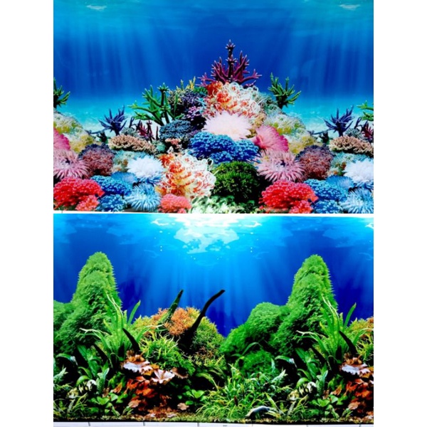 Background Aquarium tinggi 30cm,40cm,50cm,60cm per roll