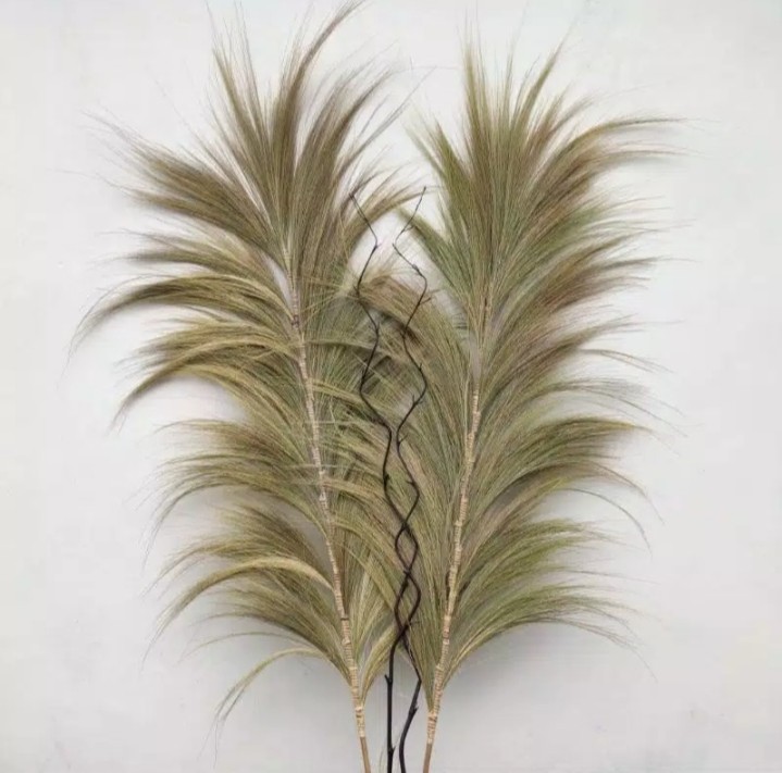 Paket Termurah Homedecor Rayung Rustic Dekorasi Rayung Kering Bunga Rayung Panjang Rayung Natural