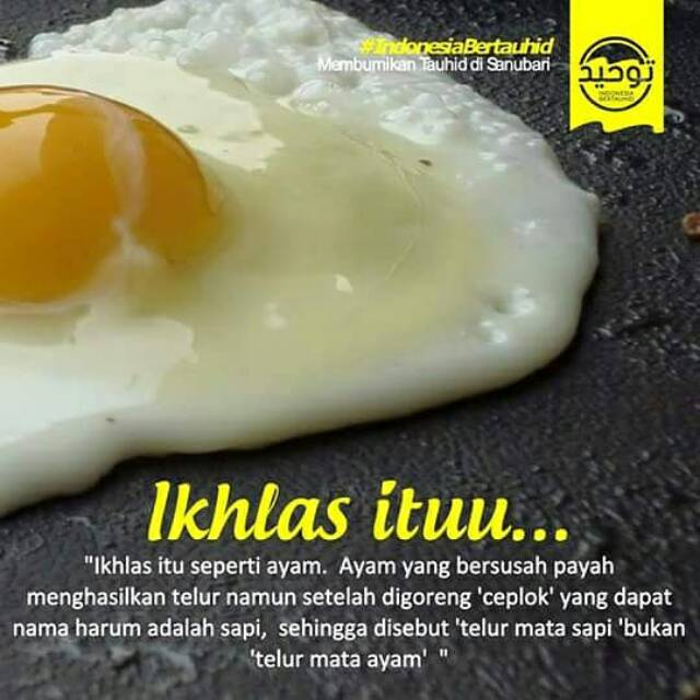 niaayuintanr