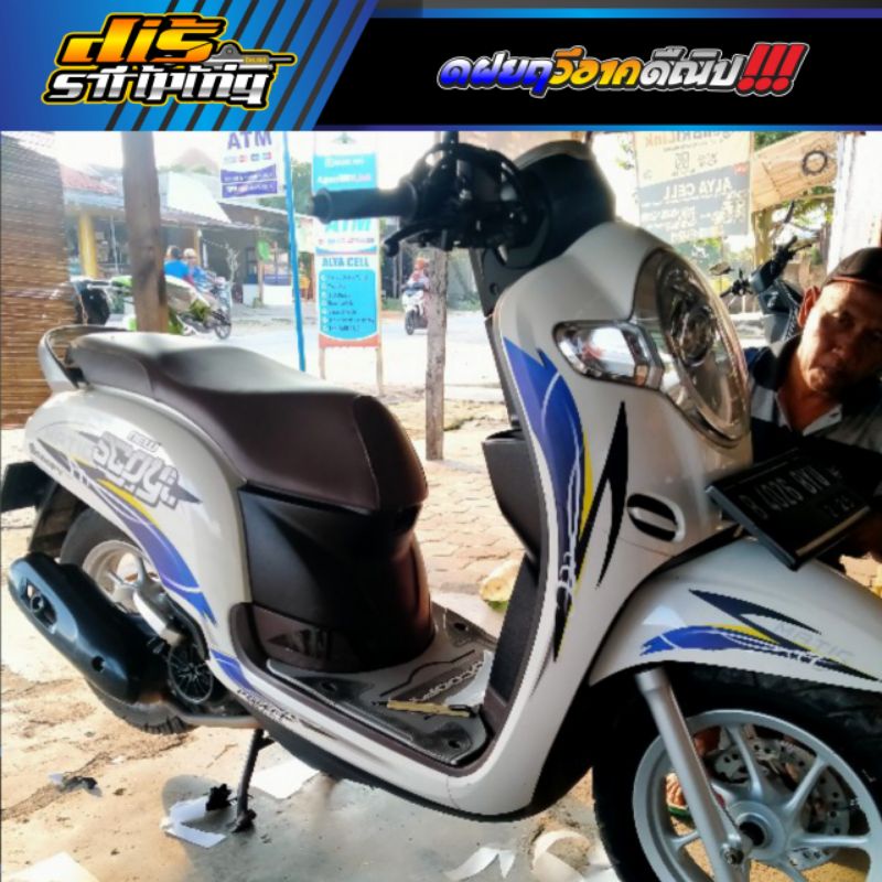 STRIPING SCOOPY NEW TRANSPARAN CUSTOM