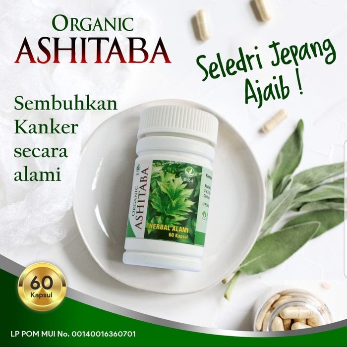 Kapsul Daun Ashitaba Organic Seledri Jepang EZA Herbal Kanker Diabetes