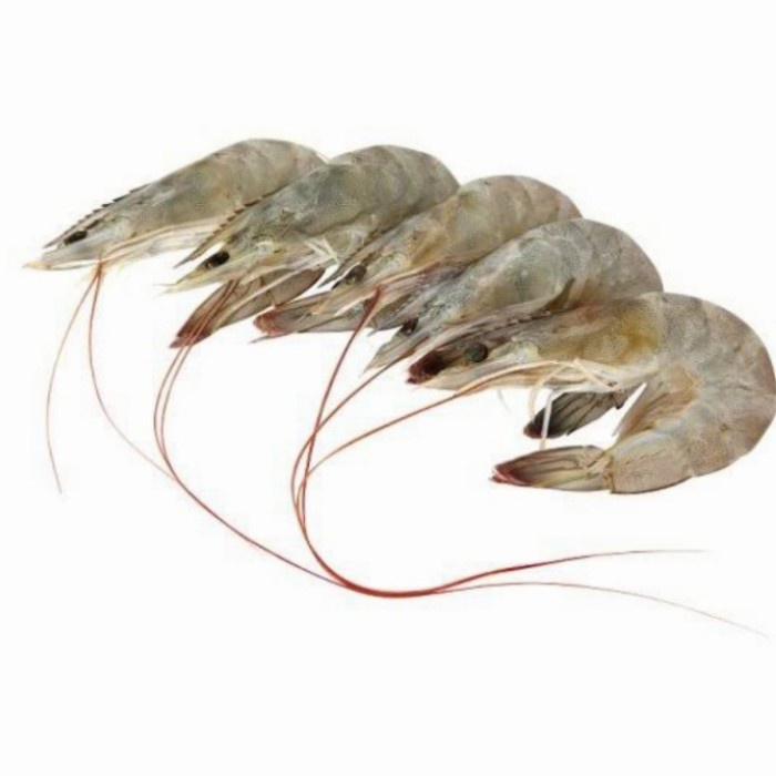 

Udang Peci Segar Fresh