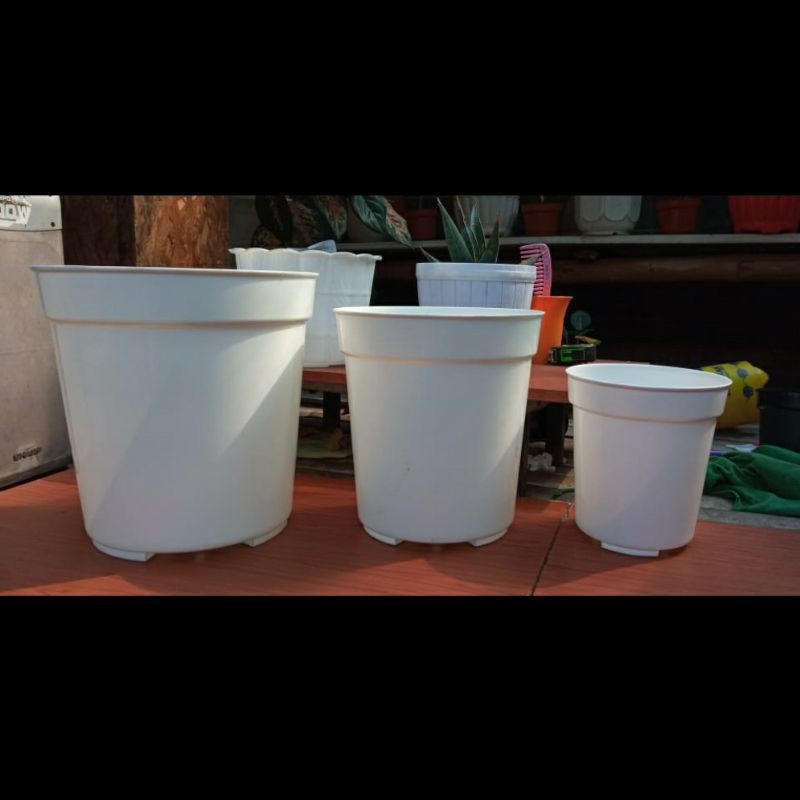 Pot plastik,Pot bunga, Pot sv putih ukuran 25 (1 lusin)