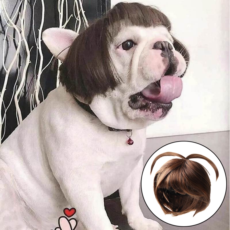 Wig / Rambut Palsu Anjing / Kucing Model Silang Untuk Cosplay / Pesta