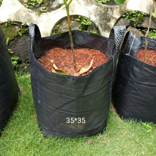 Planter Bag ukuran 35x35 32 liter Pot tanaman Shopee  