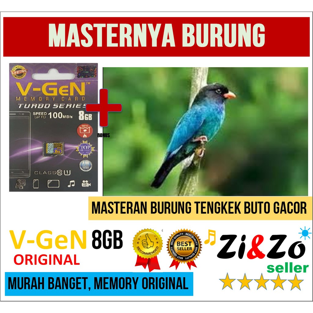 Masteran Burung Kicau Tengkek Buto Gacor