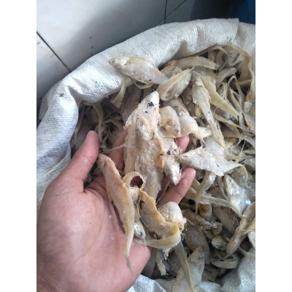 

IKAN ASIN PALAK BATU DAN IKAN ASIN BULU AYAM