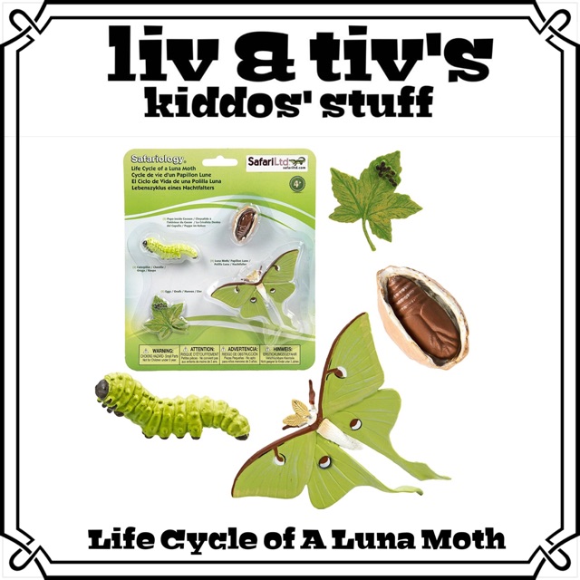 Safari Ltd The Life Cycle Of Luna Moth Shopee Indonesia