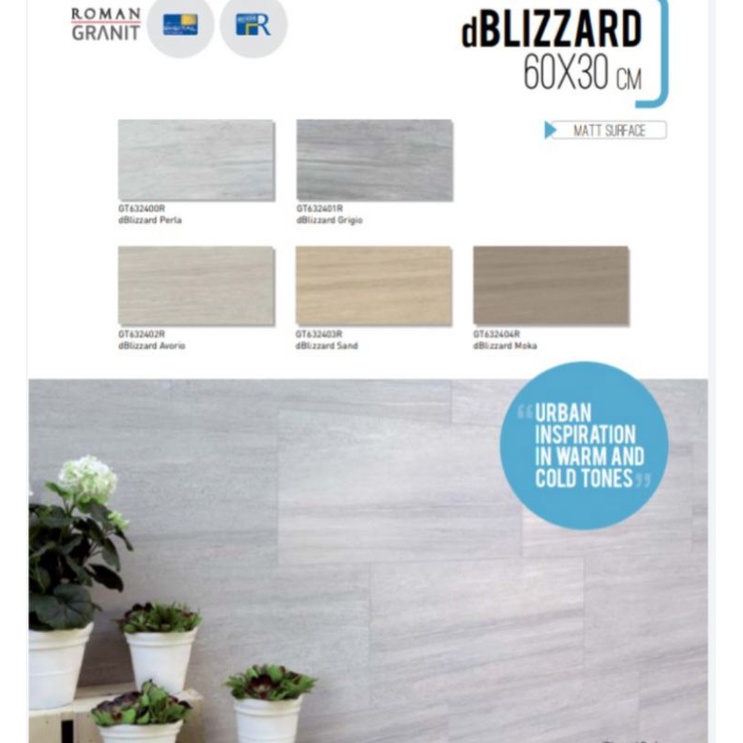 Roman Granit 30x60 dBlizard Grey/Granit Dinding Teras/Keramik dinding depan Rumah/Granit Motif Batu 