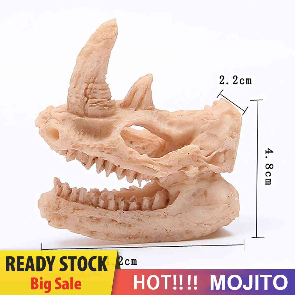 Ornamen Patung Tengkorak Dinosaurus Bahan Resin Untuk Dekorasi Akuarium