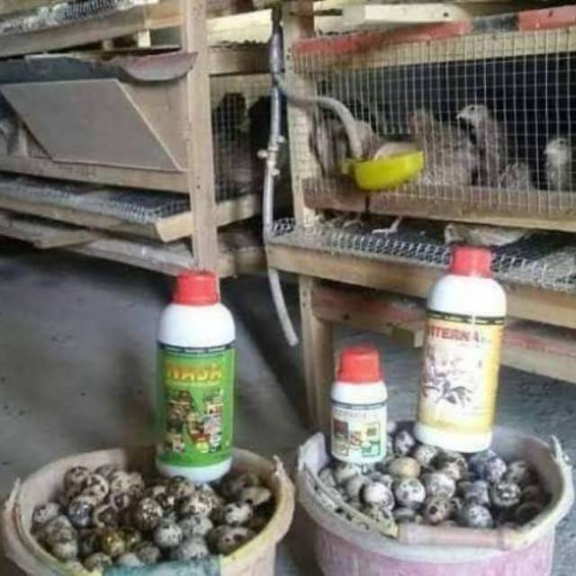 Paket Peternakan Nasa / Hormonik Nasa / Poc Nasa / Viterna Nasa