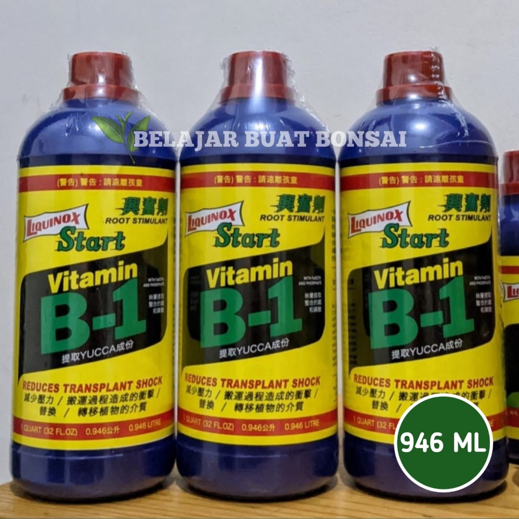 Pupuk Vitamin B1 Tanaman Taiwan 946ml Original