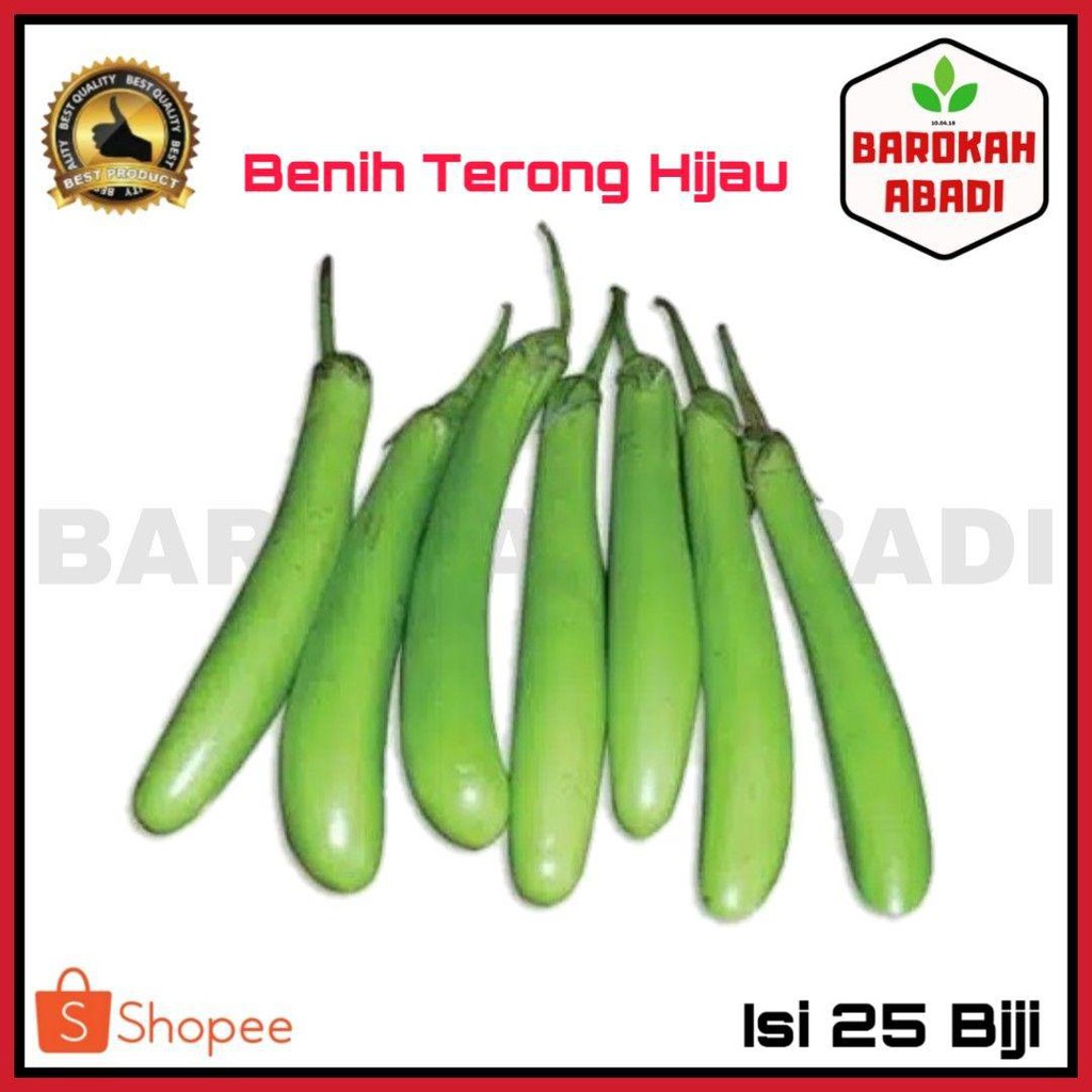 40 Benih Terong Hijau Panjang F1 Milan - Bibit Sayur Sayuran Seribuan - TERONG HIJAU