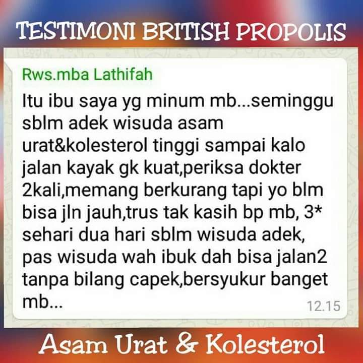 Propolis British Propolis Murni 100%Asli Obat Herbal Diabetes, Asam Urat Dan Kolesterol By IPPHO