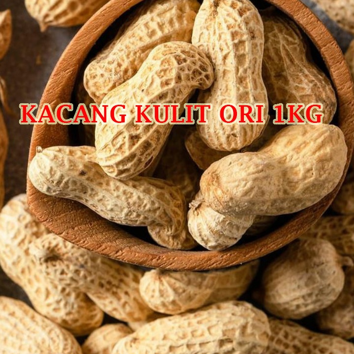 

kacang kulit oven ori 1000Gram - kacang kulit 1KG