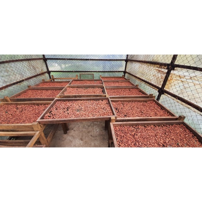 

biji kakao fermentasi 10kg | Fermented Cocoa Bean