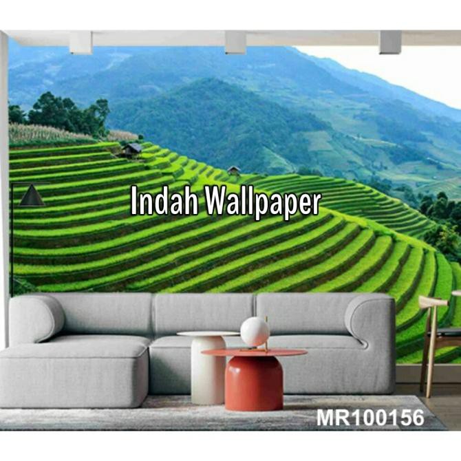 Wallpaper Dinding Photowall Mural 3D Pemandangan Sawah Desa Natural Wd676538