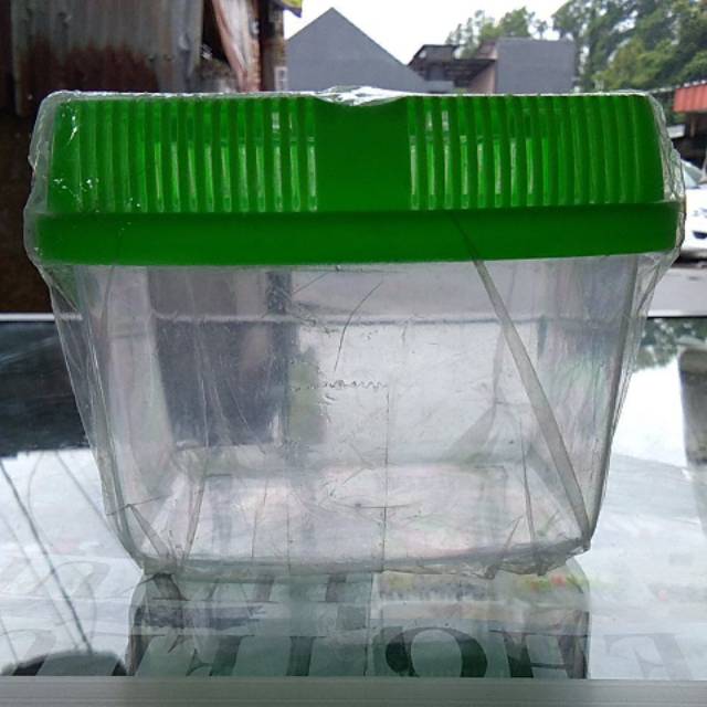 aquarium kecil untuk ikan