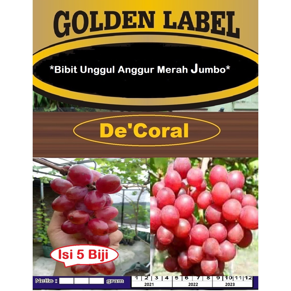 Bibit Unggul Anggur Merah Jumbo | Benih Anggur Merah Jumbo