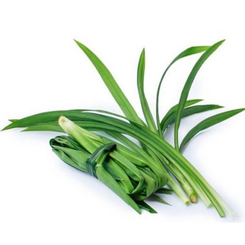 

daun pandan wangi per iket⭐⭐⭐⭐⭐