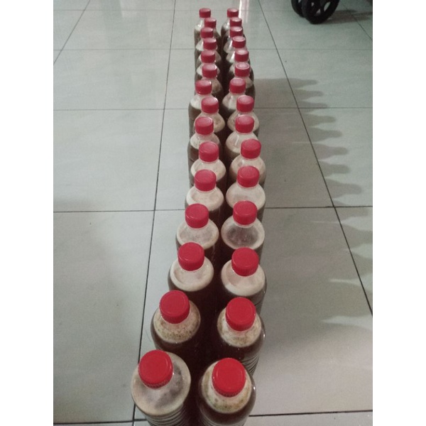 

madu liar Sumbawa Dompu Asli