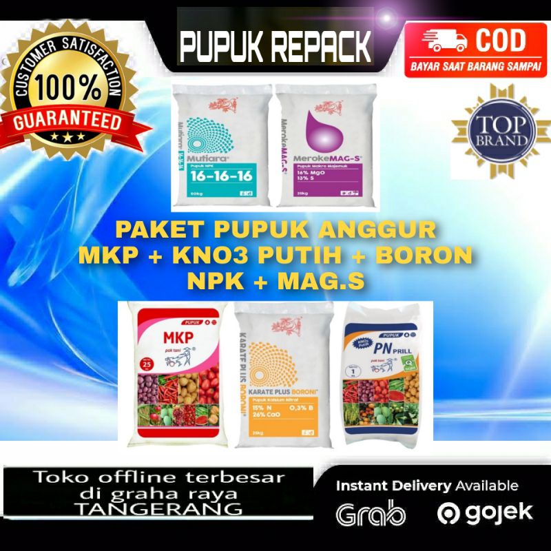 5 Paket Pupuk Anggur Ekonomis Untuk Pemaksa Pembuahan Sejak Dini