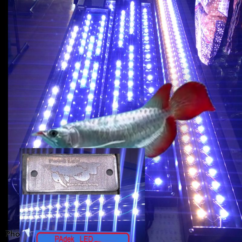 LAMPU LED HPL TANNING 24 MATA LED - 72 MATA LED 60CM-90CM TEMPERATUR 30.000K -35000K