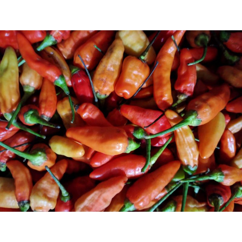 

Cabe rawit merah per 250gr