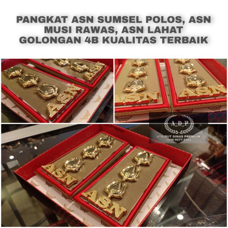 Pangkat ASN MUSI RAWAS golongan 4b