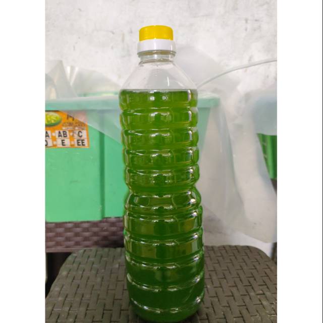 GREEN WATER PAKAN KUTU AIR /DM
