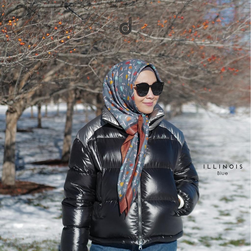 Hijab deenay Illinois Series