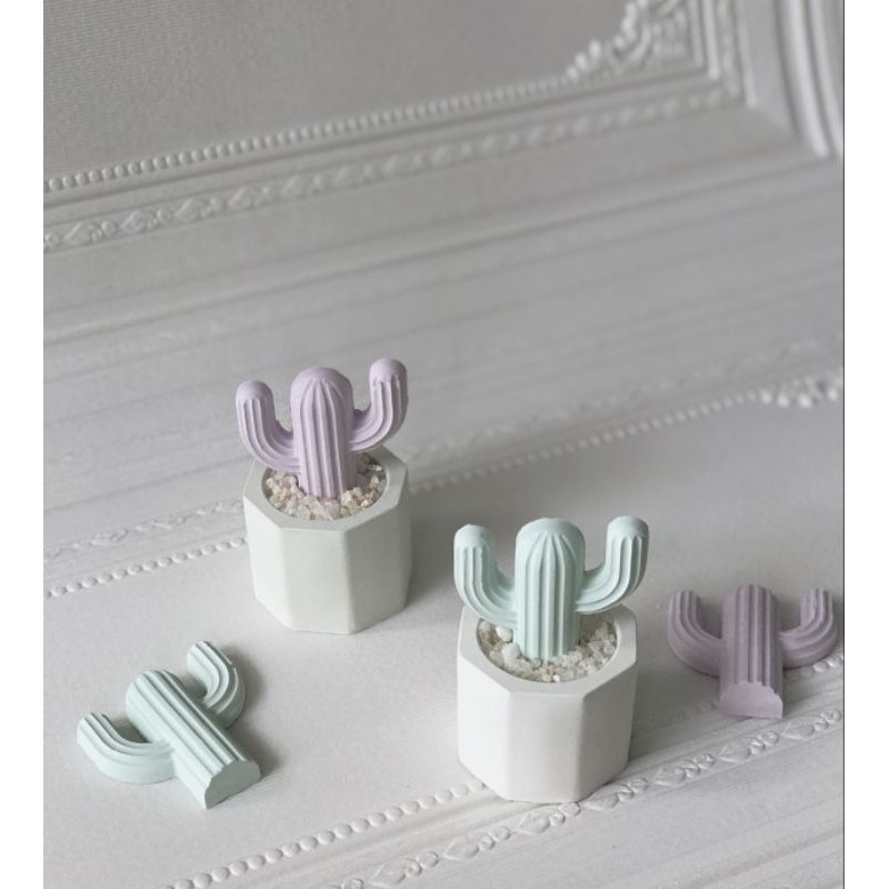 kaktus hias / bunga hias / pot dengan kaktus hias / pajangan kaktus / kaktus palsu